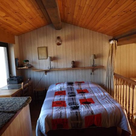 T3 Tres Agreable, 2 Terrasses, Bien Place Amélie-les-Bains-Palalda Dış mekan fotoğraf